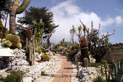 Èze - Jardin Exotique