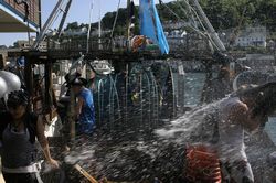 Looe Trawler Race